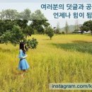 카페엔라포토