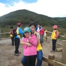 해미레2 이미지