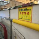 드림디포고양