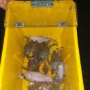 연포펜션 이미지