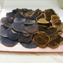 직접 채취한 자연산 야생상황버섯을 추석 선물용으로 엄선해 5세트만 판매합니다! 이미지