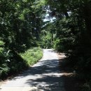 대선로2 이미지