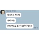 미스터카레