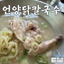 현대자동차 언양점 | 울산 선암동 맛집 담백한 언양닭칼국수 먹어본 리얼 찐 후기!