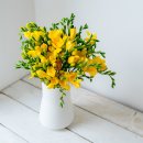 김순옥농장 이미지