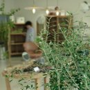 도스 안경원 이미지