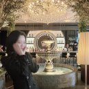 [청담맛집] 분위기 좋은 피플더테라스 People the terrace