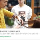아이펠마르 이미지