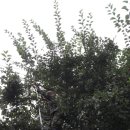 방주농원 이미지