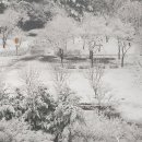 화성의과학대학교 이미지