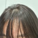 화남미용실 | 인천미용실 테슬컷 매직 새치염색 클리닉 뿌리볼륨 절대 비추 가지마세요