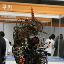 브래드씨 이미지