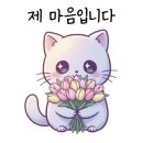 베스트365의원 네이버블로그