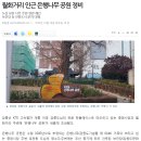 (강릉부동산 NO.1 "사임당공인중개사") 강릉시, 월화거리 주변 '은행나무 공원' 조성 이미지