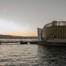 무드무드 이미지