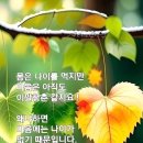 감사의 힘 이미지