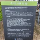 국립세종도서관 버스정류장 | [세종/대전] 국립세종도서관 _ 세종 어린이도서관 실내 가볼만한곳 추천
