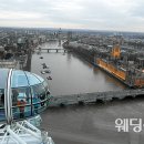 허니문결혼정보 이미지