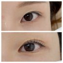 상패어린이집 | 인천 검단 속눈썹펌 짧은속눈썹 비비드엘 인천점