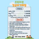 초록농장 | [제주] 초록 하원 감귤 체험 농장 이용 후기 추천 내돈내산