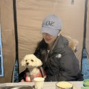 여우샐러드 | 시흥맛집 애견동반 바베큐 낭만고기 부천여우고개점❤️