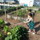 화곡4동 주민센터 이미지