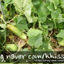 해뜬농장 이미지