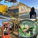콧바람여행사