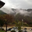 가평산속요양병원 스포츠조선