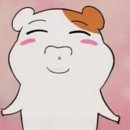 녹지마녹지마 이미지