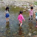 삼이네펜션