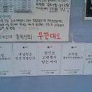 선보래 이미지