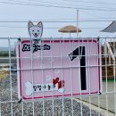 낄낄아놀자 이미지