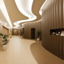 아쿠아필드 고양 이미지