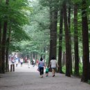 변산반도 사계절펜션 이미지