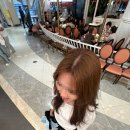 26년 6월 마지막 상하이 일상(+한국 일상)