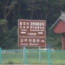 2010년 상주동부초등학교 8회 총동창회 및 29회 전야제 이미지