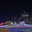 사정마을게이트볼장 | 12월 부산 크리스마스 명소 가볼만한곳 TOP 7