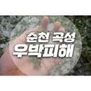 곡성-079 이미지