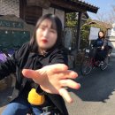 2024년 8월