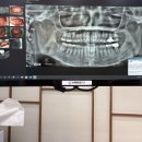 뉴욕플란트치과의원 이미지