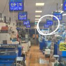 미미물회횟집 - 595723 | 노량진수산시장추천 횟집 부안수산 모듬회