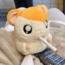 씨유 풍납백제점 | 백현 업고 튀어!!