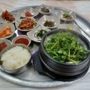 통영 만성복집, 하동 송림공원, 하동 쌍계사 산채비빔밥, 하동 도심다원, 진주 숯불닭갈비 이미지