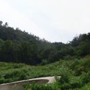세풍중군간도로 티스토리