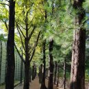 성내천(오륜초등학교)방면 화장실 옆 | 서울 둘레길 3코스 고덕산(86), 일자산 221010