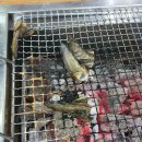 싱싱민물장어세상 이미지