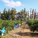 하율농장 이미지