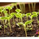 꿈가득한 유치원 이미지