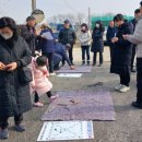 모야 이미지